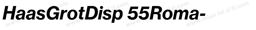 HaasGrotDisp 55Roma字体转换